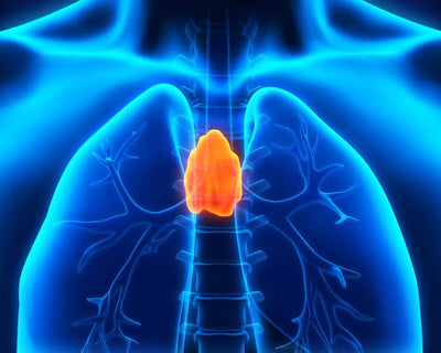 Get Vladonix (Thymus Peptide) And Live Almost A Disease Free Life