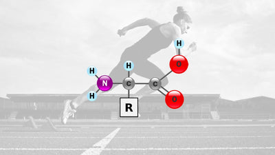 Why Amino Acids Are Essential To An Athlete