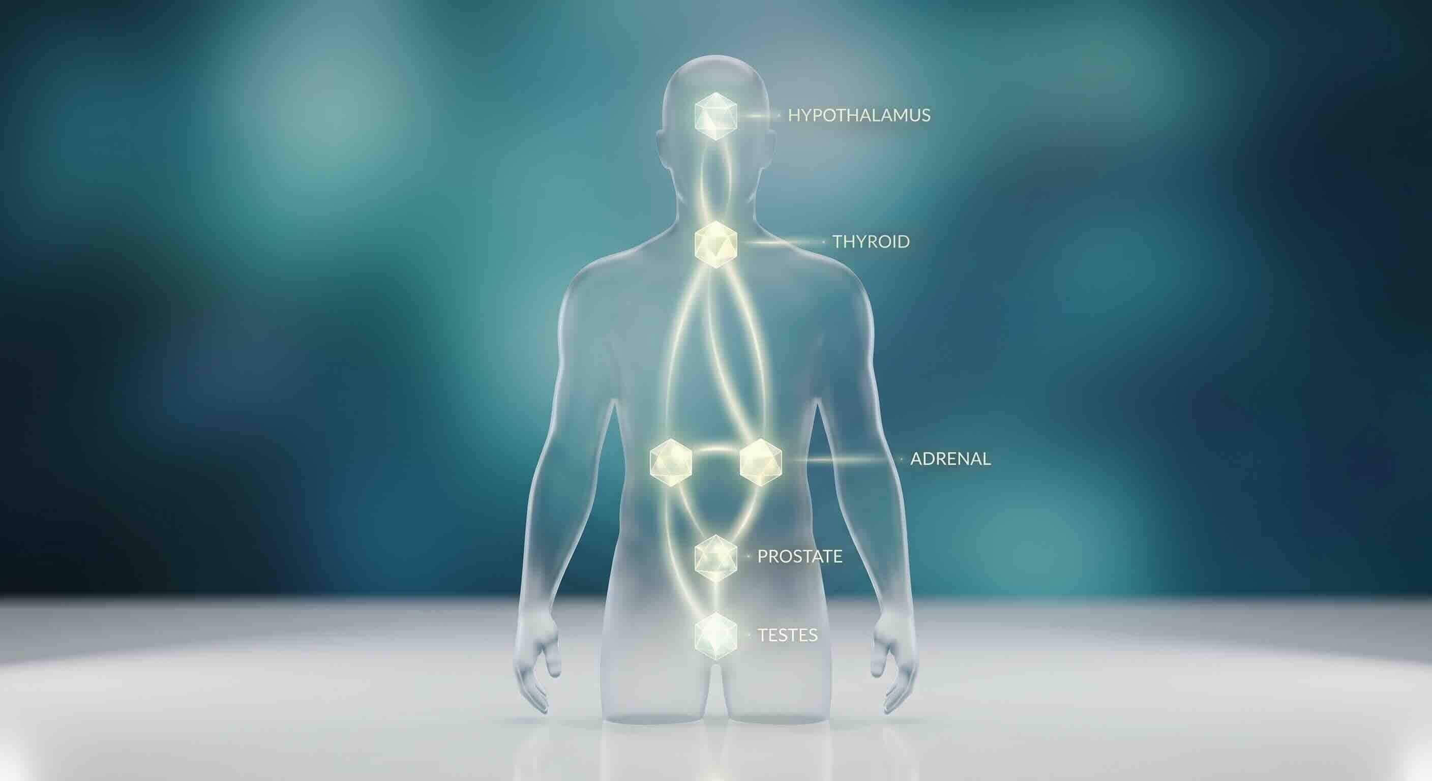 Peptides for Men's Hormonal Health: A Complete Guide