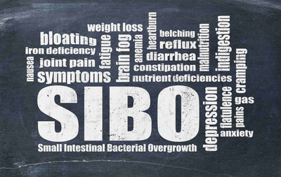 Natural SIBO Treatment Protocols That Actually Work