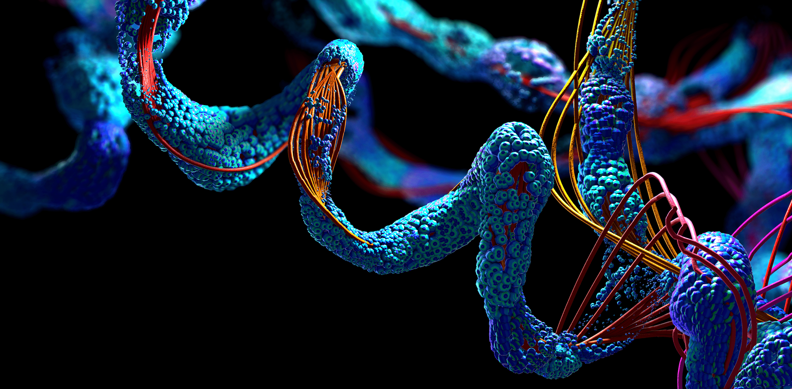 How Peptide Bioregulators Work