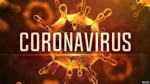 What is a coronavirus?