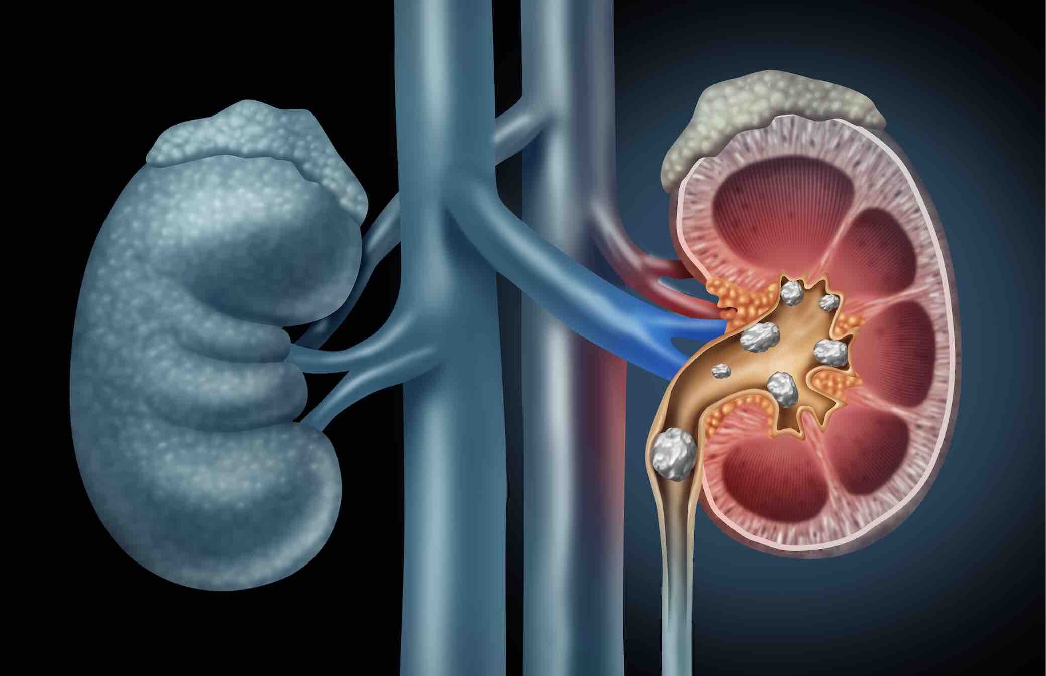 How Do Glytamins Work?