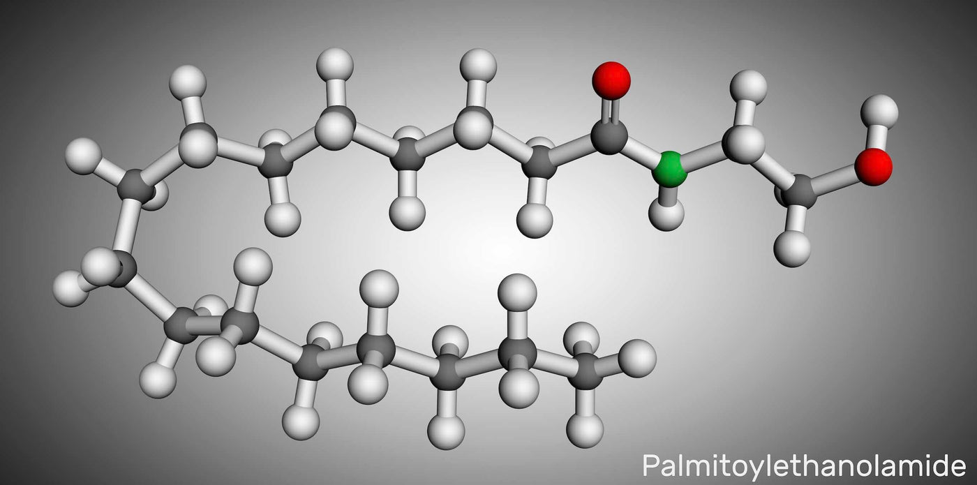 Palmitoylethanolamide Benefits