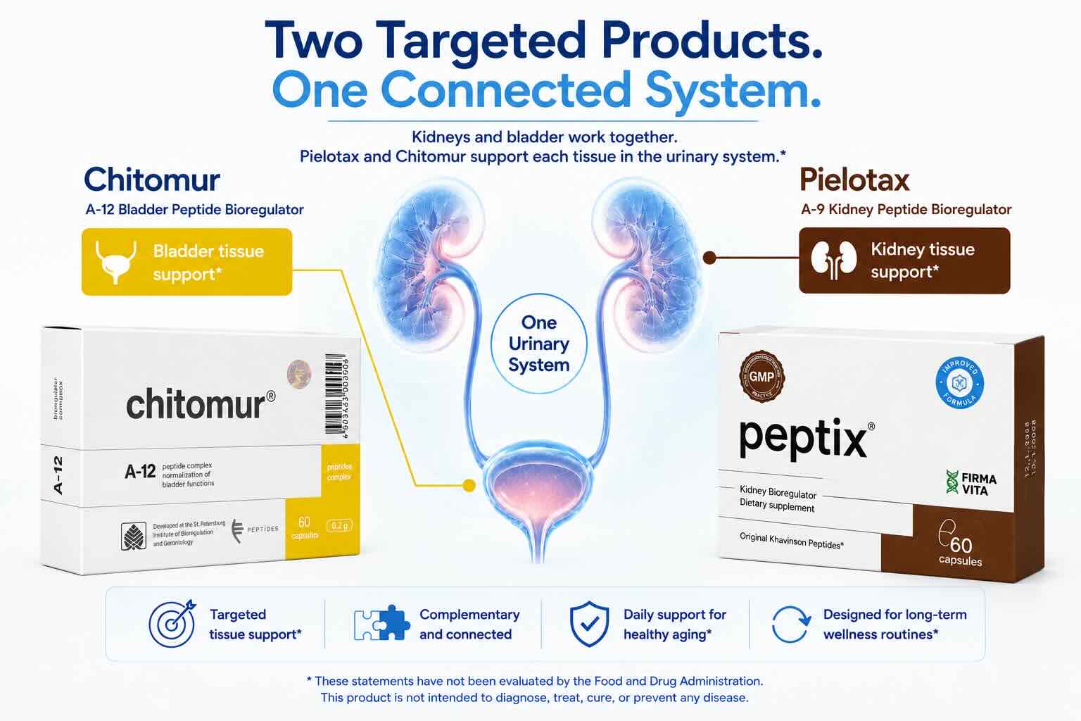 Kidney Peptide Bioregulators: How Pielotax and Chitomur Support Kidney and Bladder Health