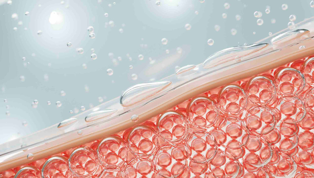 Stem Cell Vitamins