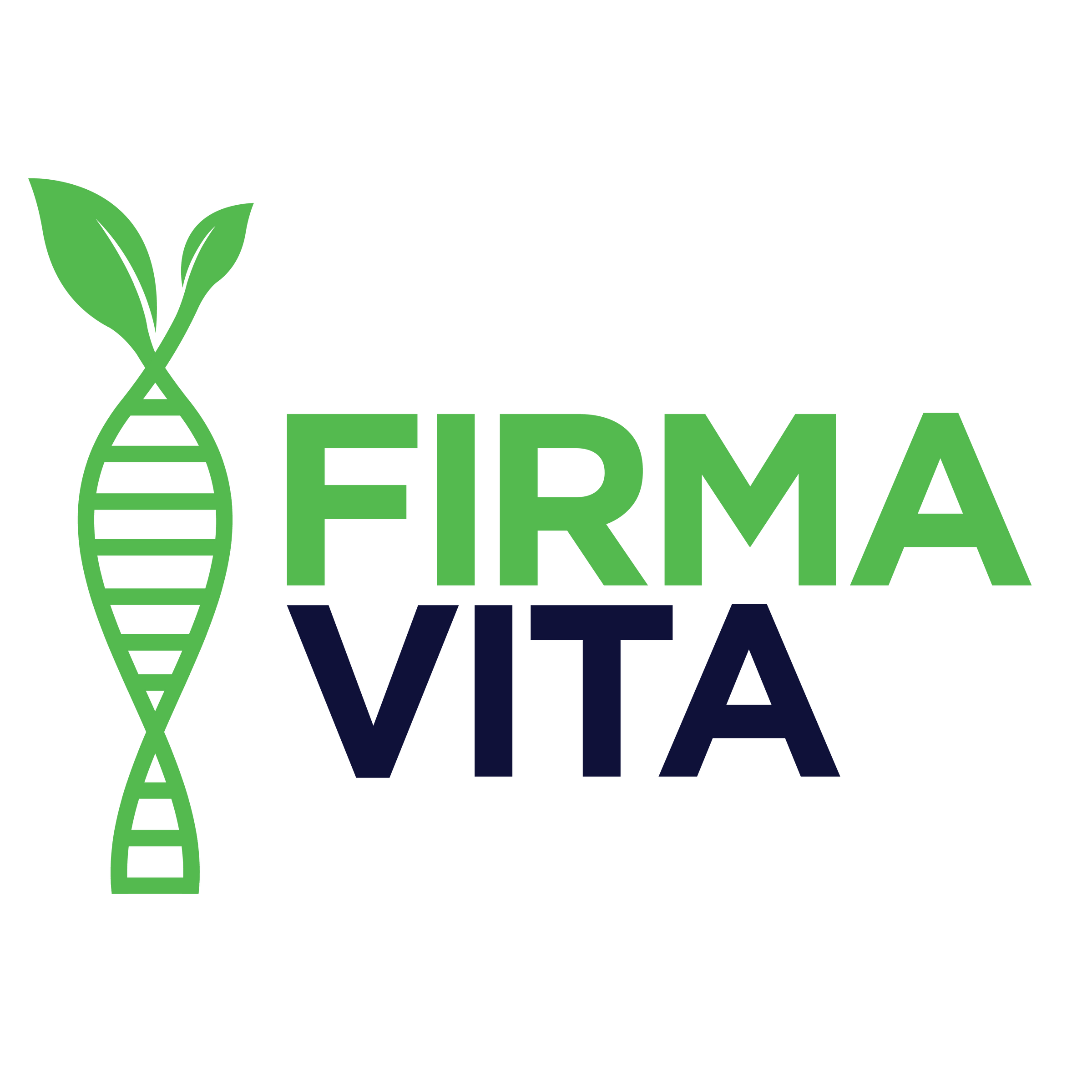 BRAND - Firma Vita