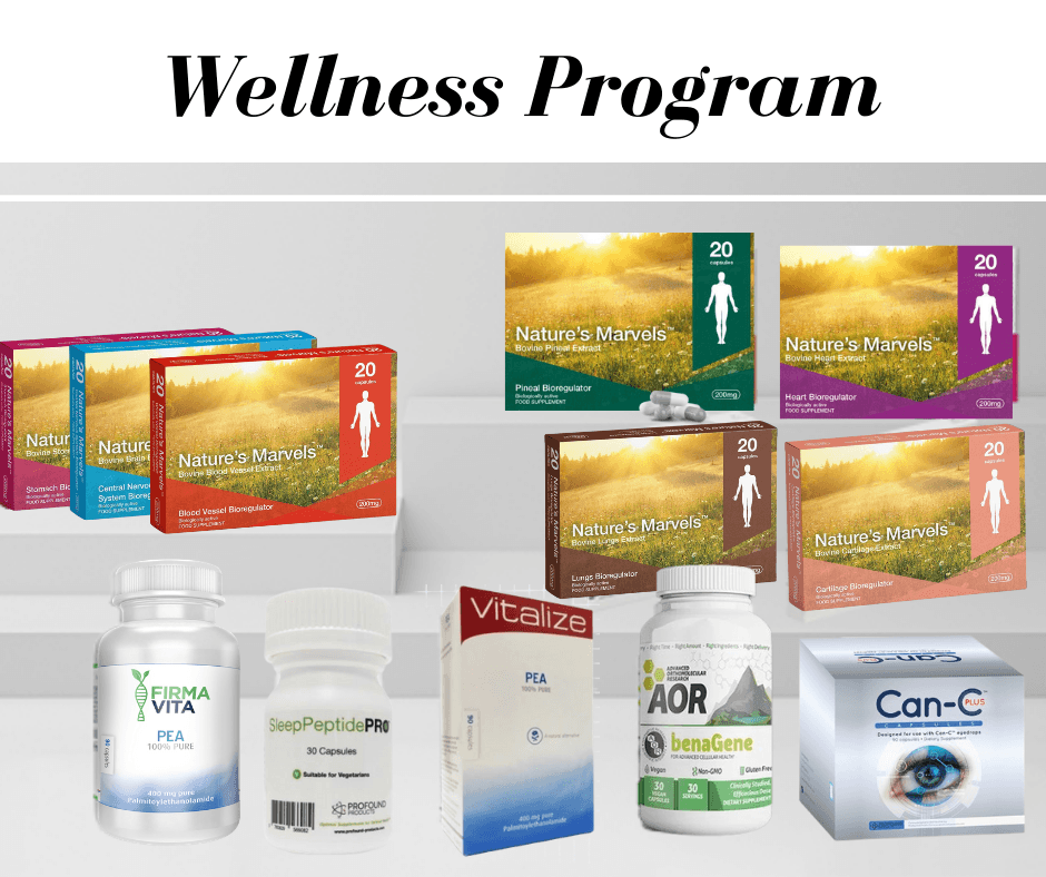 Wellness Program