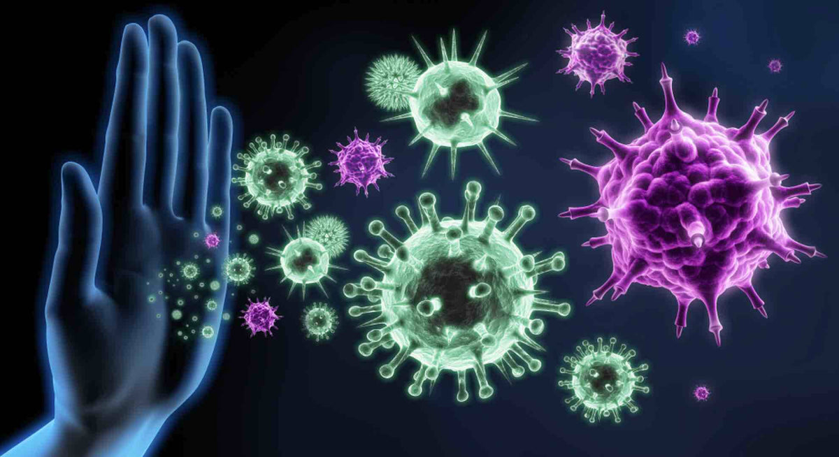 Peptide Bioregulators for Immune System Support