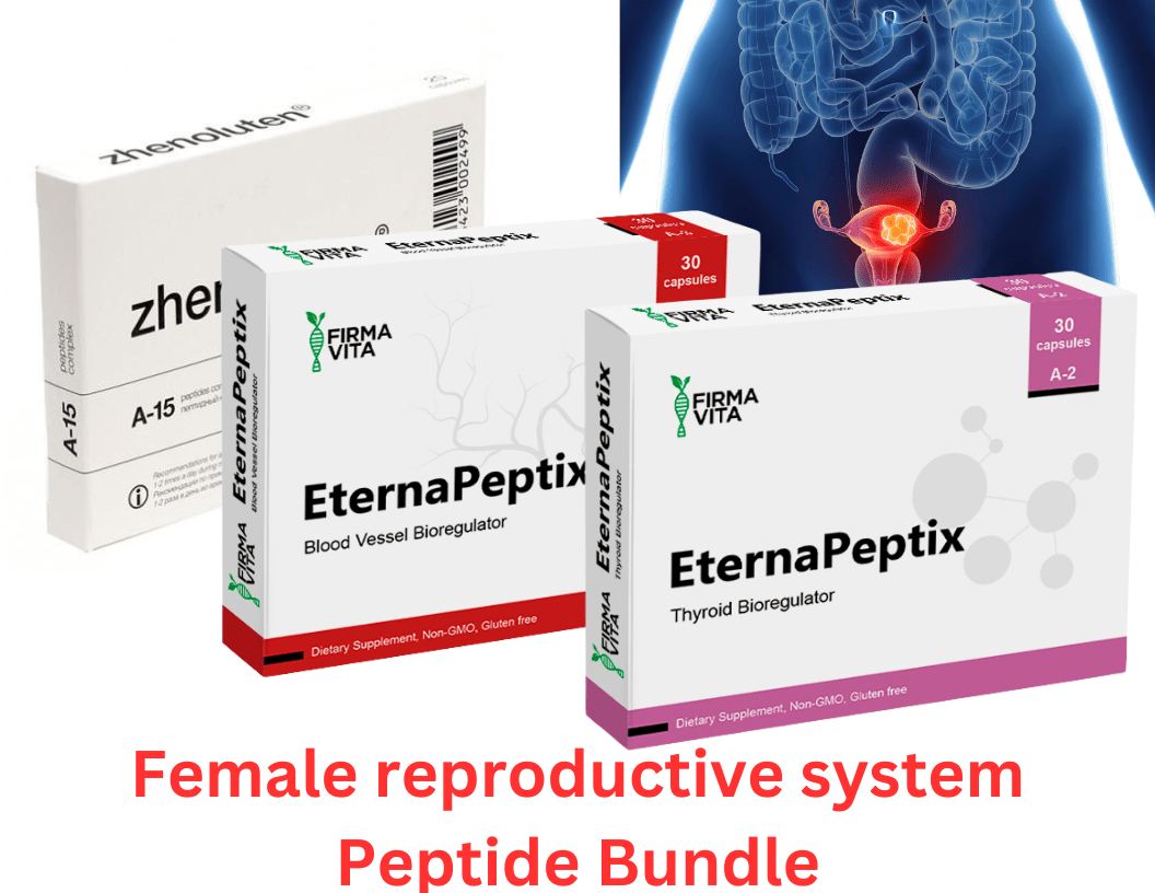 Female reproductive system Peptide Bundle- A-15 Zhenoluten A-2 Thyreogen A-3 Ventfort