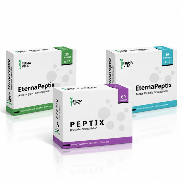 Male Reproductive System Bundle - Testoluten A-13 Libidon A-16 Glandokort A-17