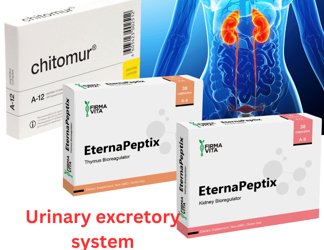 Urinary excretory system Peptide Bundle - A-6 Vladonix A-12 Chitomur A-9 Pielotax