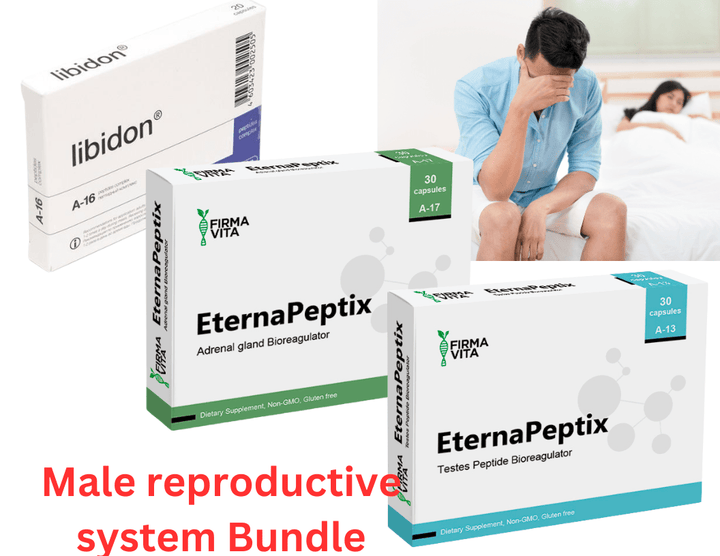 Male Reproductive System Bundle - Testoluten A-13 Libidon A-16 Glandokort A-17