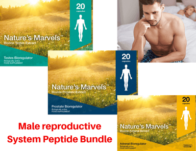 Male Reproductive System Bundle - Testoluten A-13 Libidon A-16 Glandokort A-17